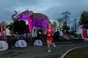 BIB: 
                            <button type="button" onclick="openModal(26529609)" class="btn btn-primary btn-sm float-right btn-popup" data-toggle="modal" data-target=".modal-high-quality">
                        <i class="fas fa-shopping-cart"></i> Add to Cart
                    </button>
                                            <button type="button" onclick="isThisMe(26529609, true)" class="btn btn-success btn-sm float-right btn-popup btn-isme hidden" data-toggle="tooltip" data-placement="bottom" title="นี่คือรูปของคุณใช่ไหม คลิกที่นี่เพื่อเอาเข้าอัลบั้ม">
                        <i class="fas fa-plus"></i> Add to album
                    </button>
                    <button type="button" onclick="isThisMe(26529609, false)" class="btn btn-warning btn-sm float-right btn-popup btn-isnotme hidden">
                        <i class="fas fa-ban"></i> Remove from album
                    </button>